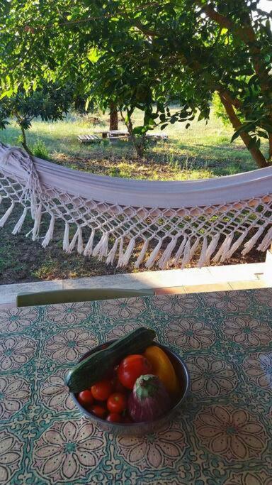 Villa Country House Tra Lago E Mare A Sud Di Roma à Campoleone Extérieur photo